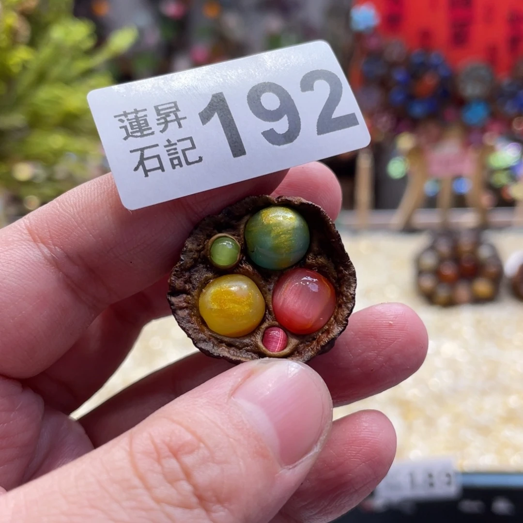 核桃木/黑胡桃（胡桃木）192