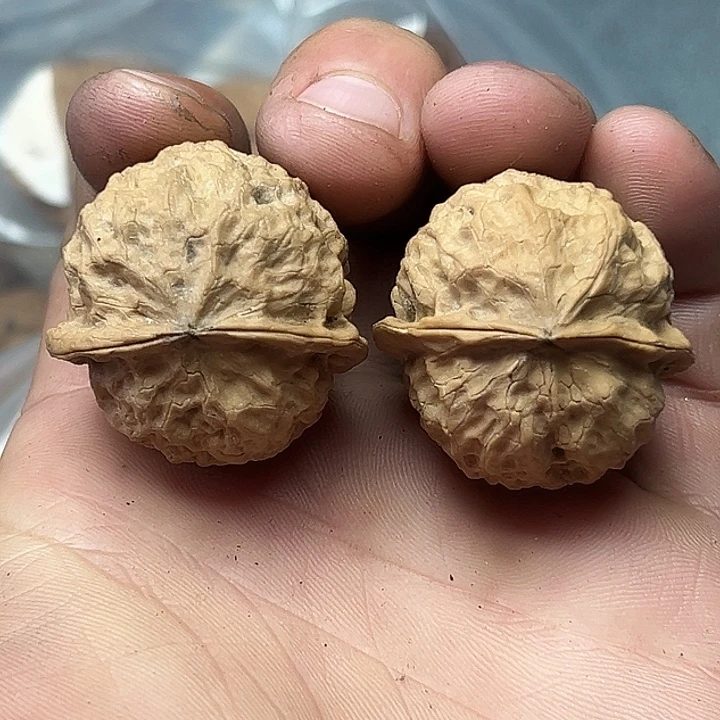 核桃47号揣兜三楞33尺