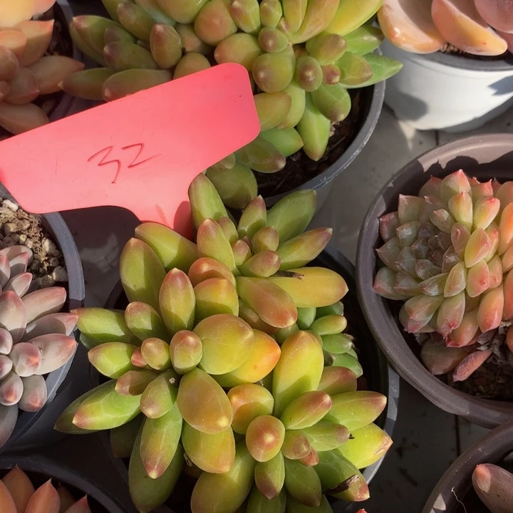 跌破租黑五727373737