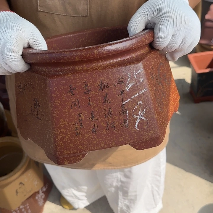 我想吃东西我自己