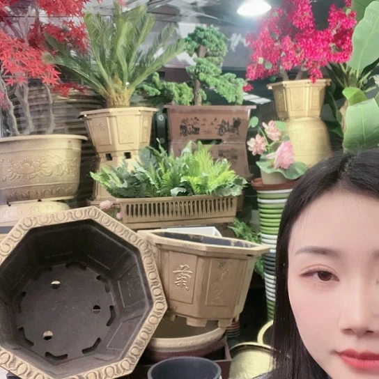 红陶八角50盆一个有孔