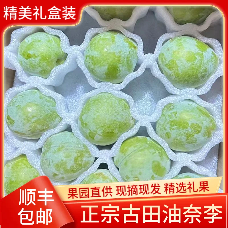 古田油奈李子奈李新鲜水果孕妇桃形李子青脆空心青奈脆甜现摘顺丰