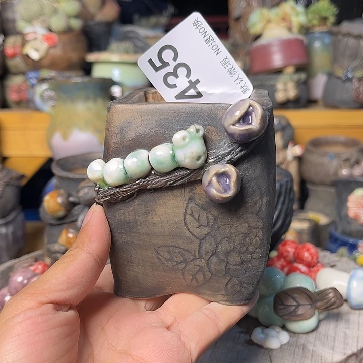 这个月我的生活方式的435