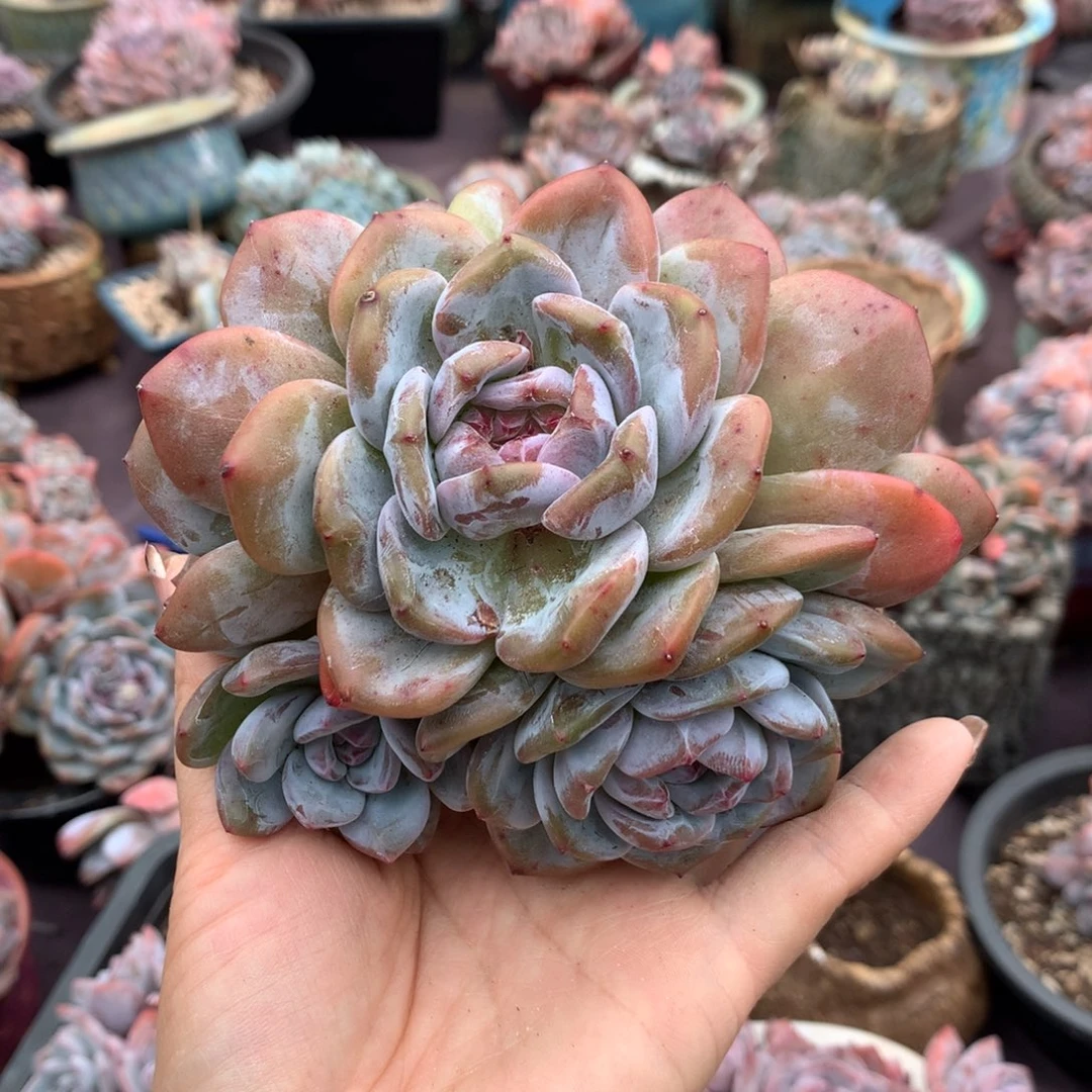 哈哈哈哈哈哈哈哈哈哈哈哈