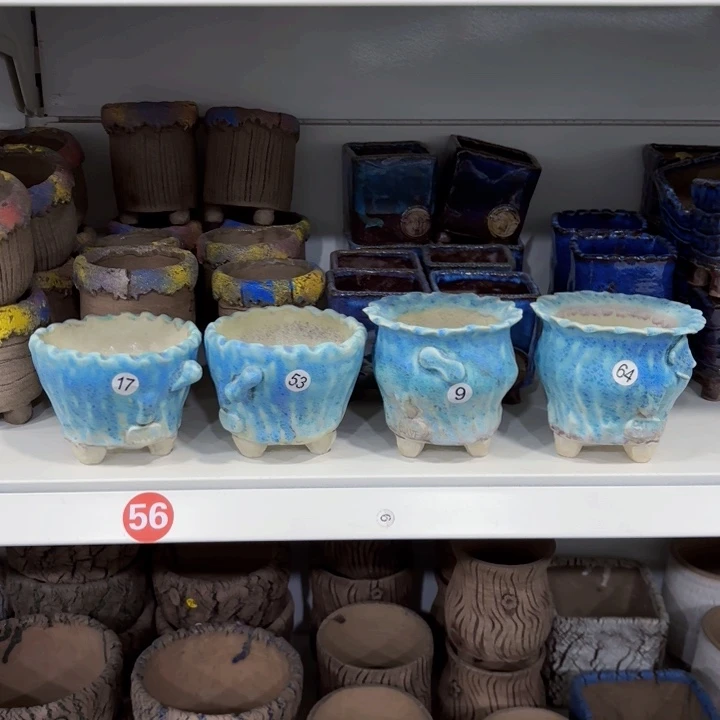 红陶蛋*内敛的人是不可能的