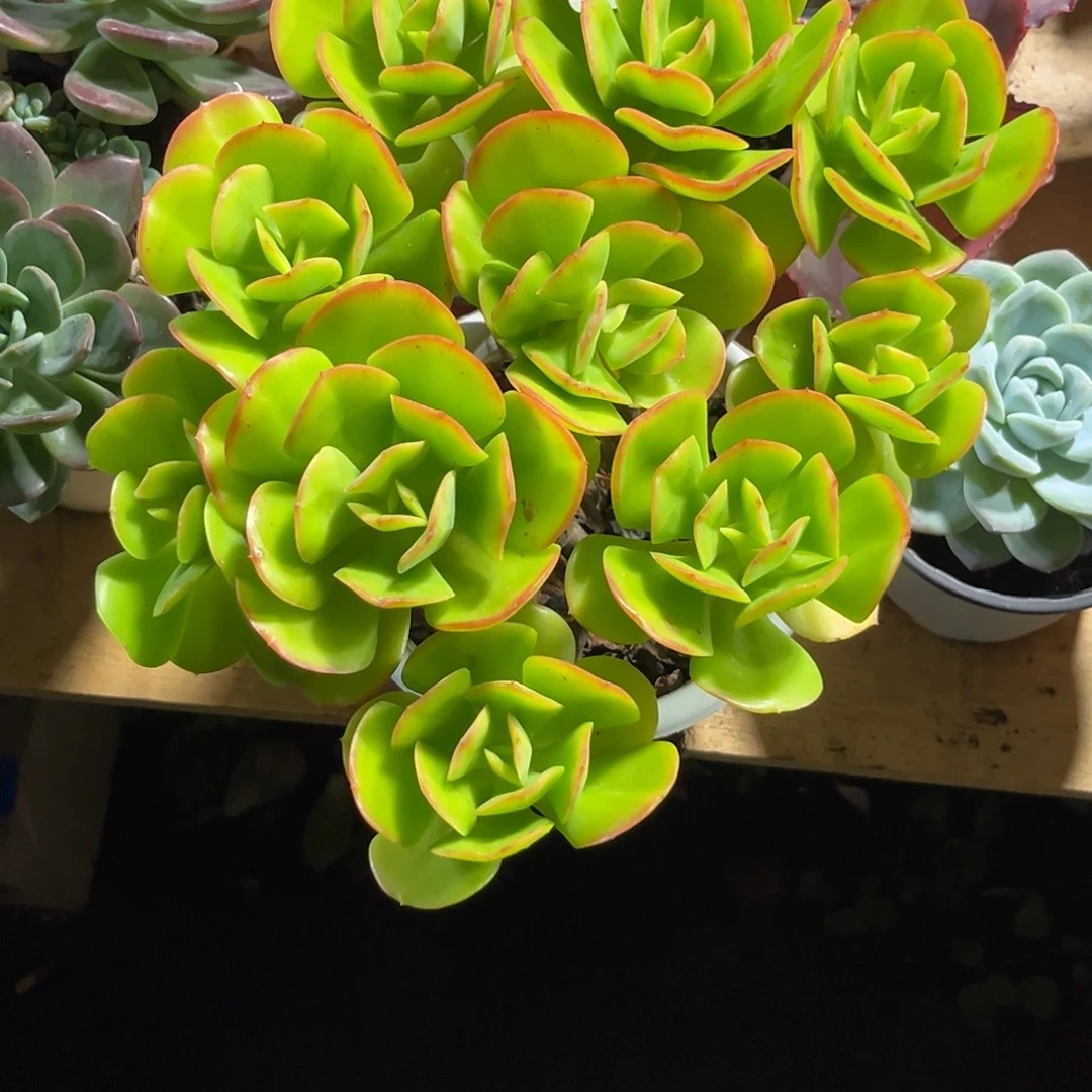 士***～00000000000000000742