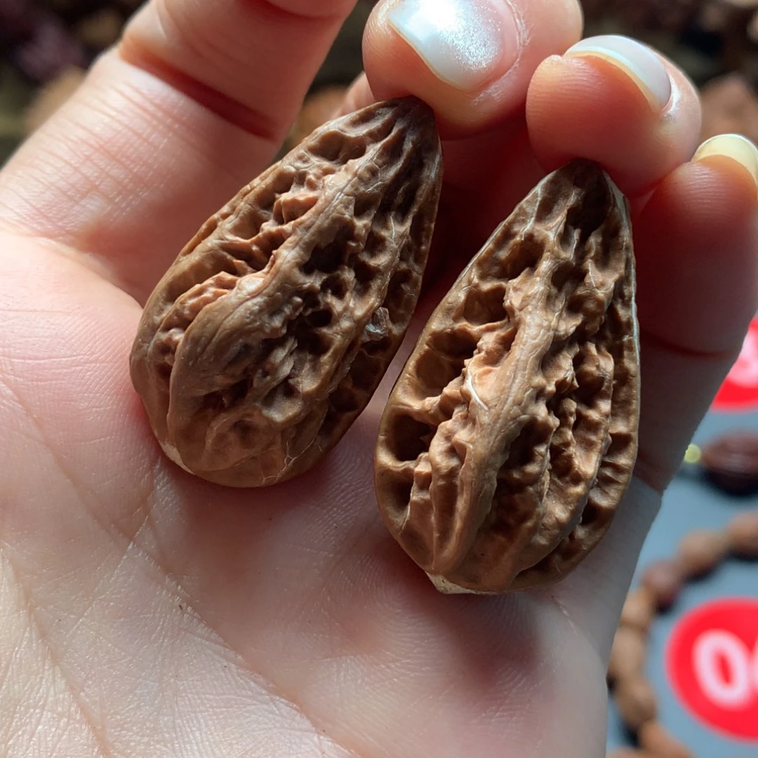 核桃56东北秋子异型两只