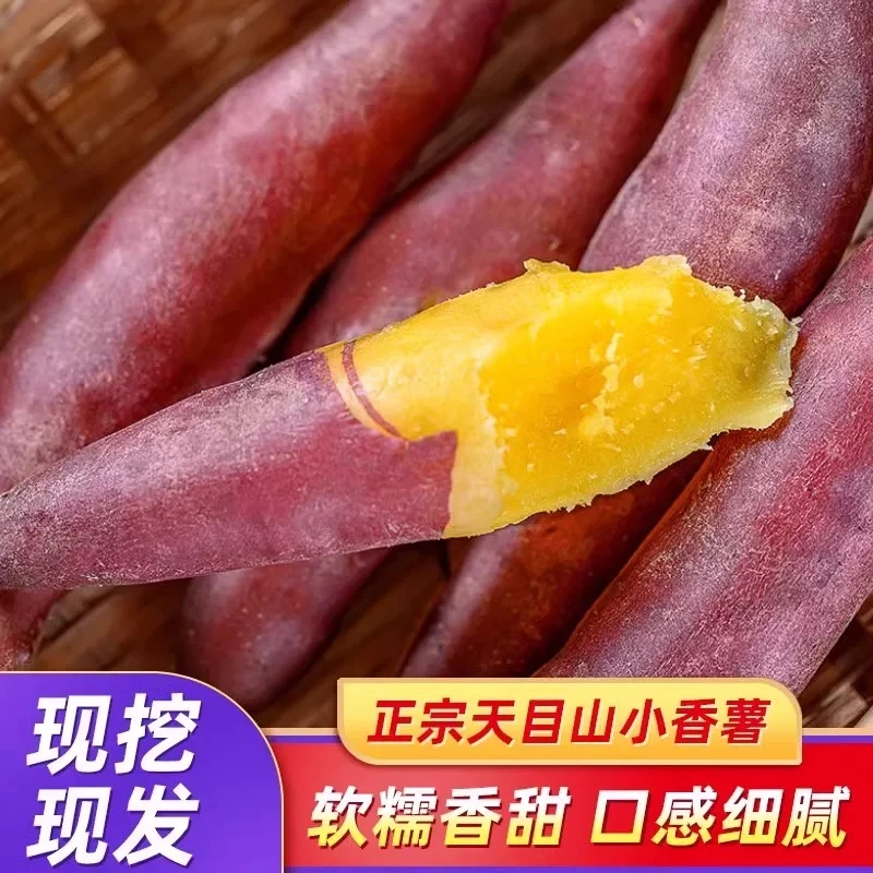 【红沙土】临安天目小香薯红皮黄心香甜软糯1-5斤番薯（现挖现发）