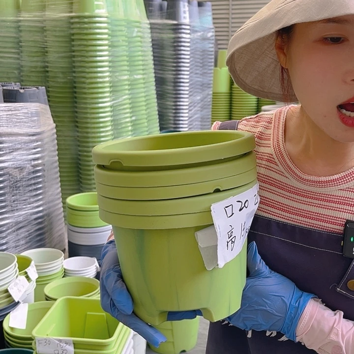 瑕疵球根盆2#果绿色5个无托