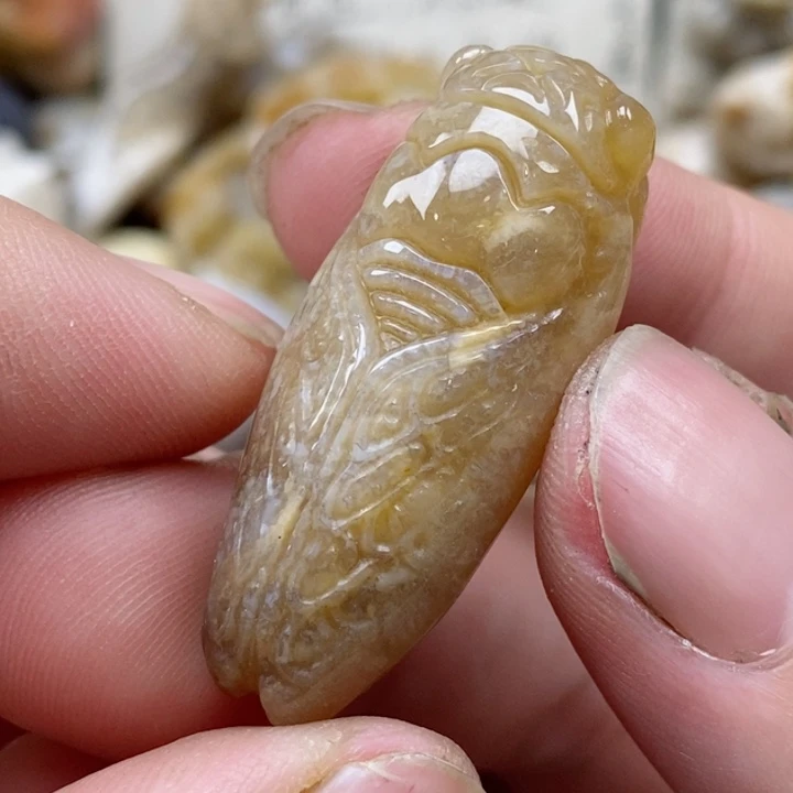 颈饰未镶嵌硅化珊瑚（珊瑚玉）小