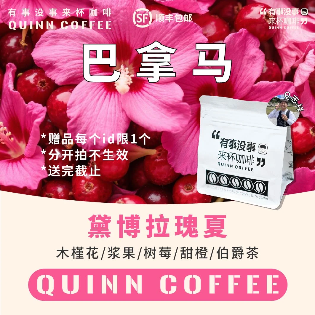 Quinncoffee【黛博拉瑰夏】巴拿马瑰夏咖啡豆