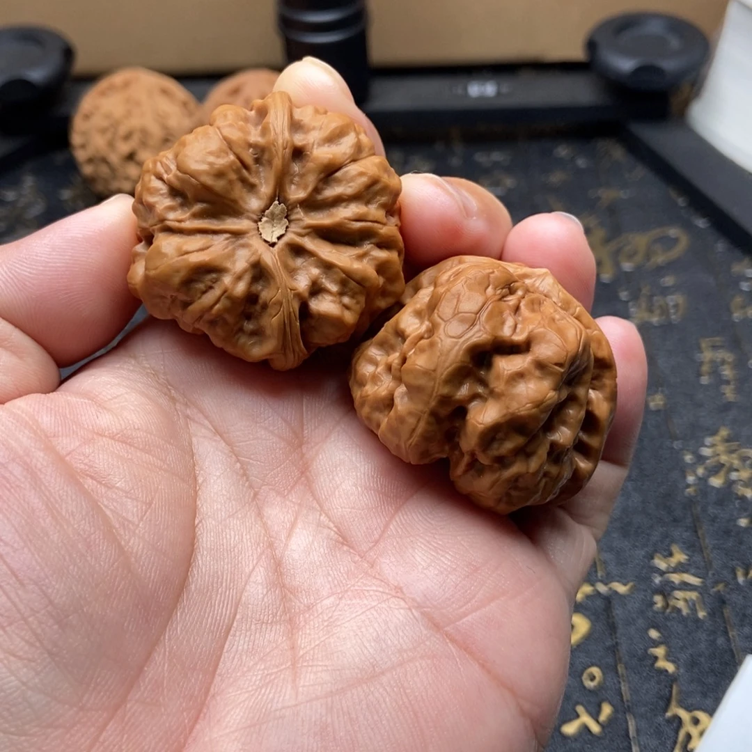 大叶紫檀（黑酸枝木类）40尺精品蛤蟆蛤蟆