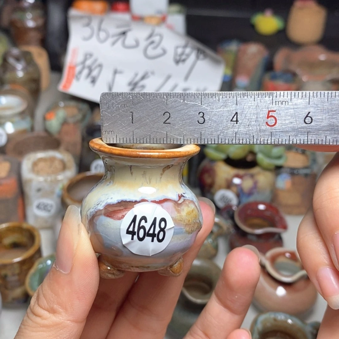 拍5送一个小礼物