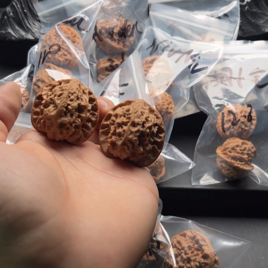 呼***核文玩核桃吊坠白蛇骨