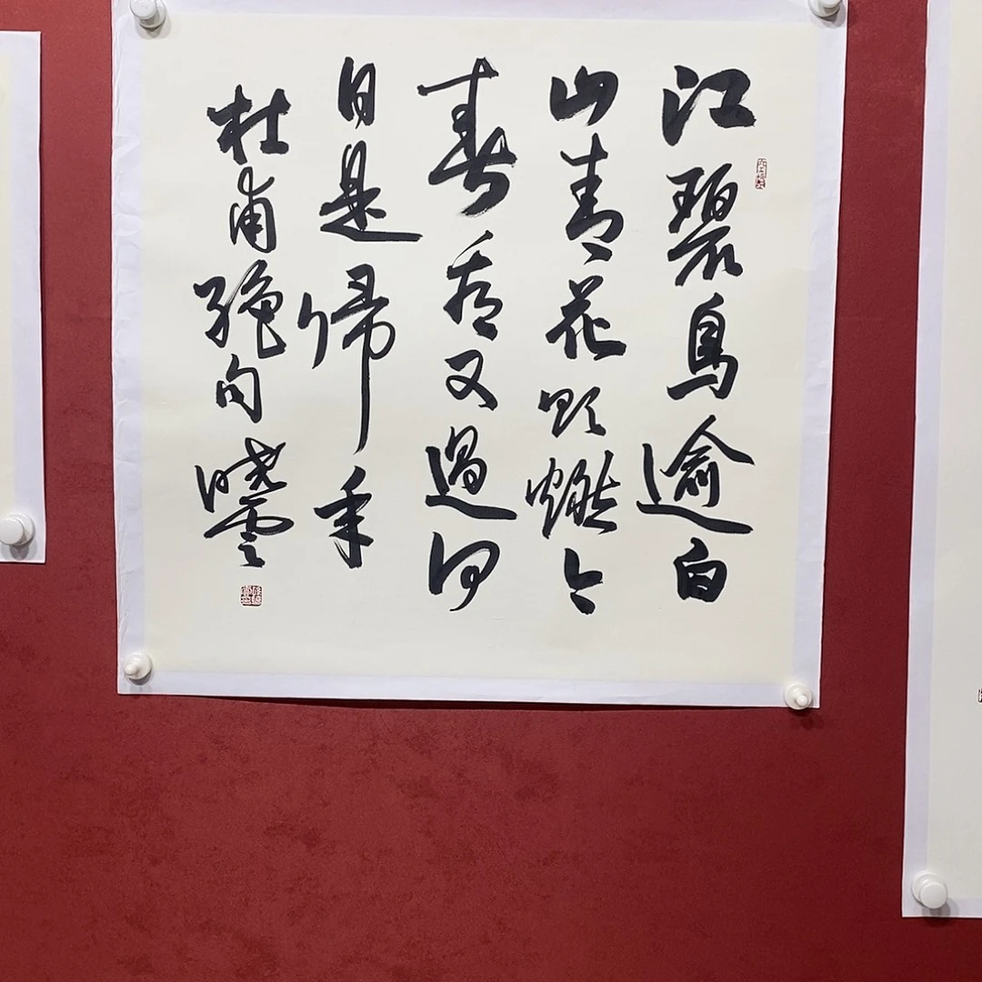 江碧鸟羽直播打咯