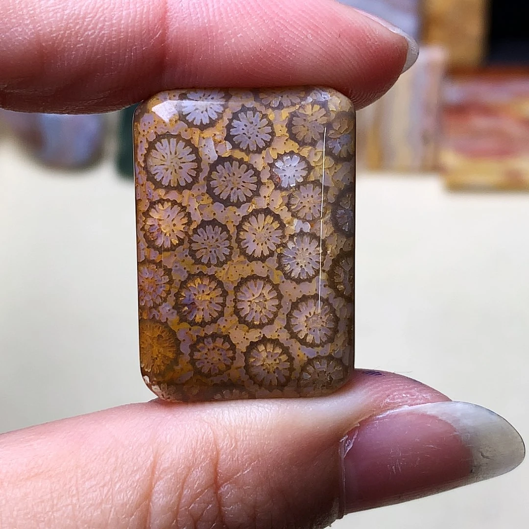 石英质玉颈饰未镶嵌彩*?