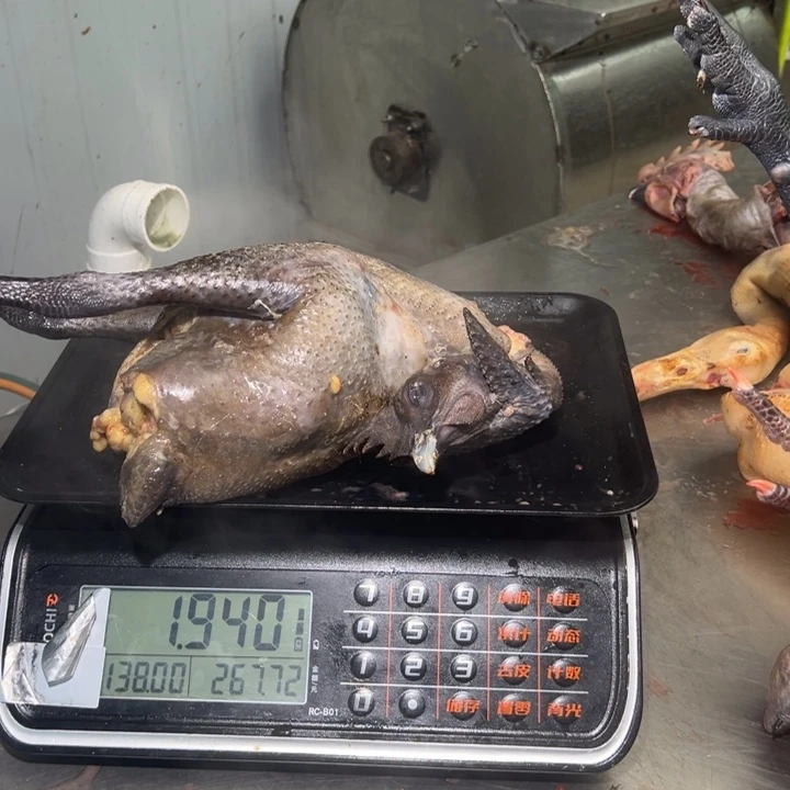 一号土鸡食用农产品中国大陆檟****化