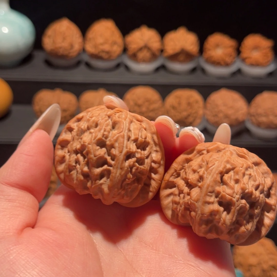 白狮子42，精品，货头