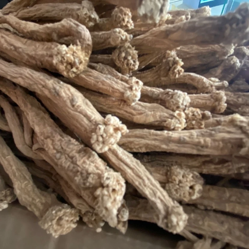 云南边境特产党参