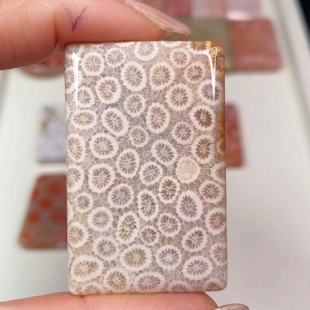 【闪购商品】未镶嵌吊坠(赠链)硅化玉