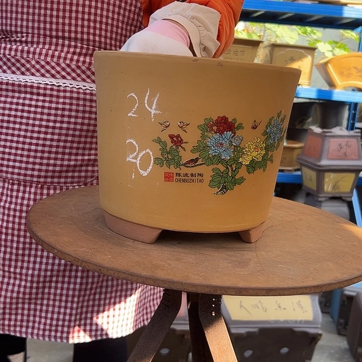 黄色花开富贵特大号花盆