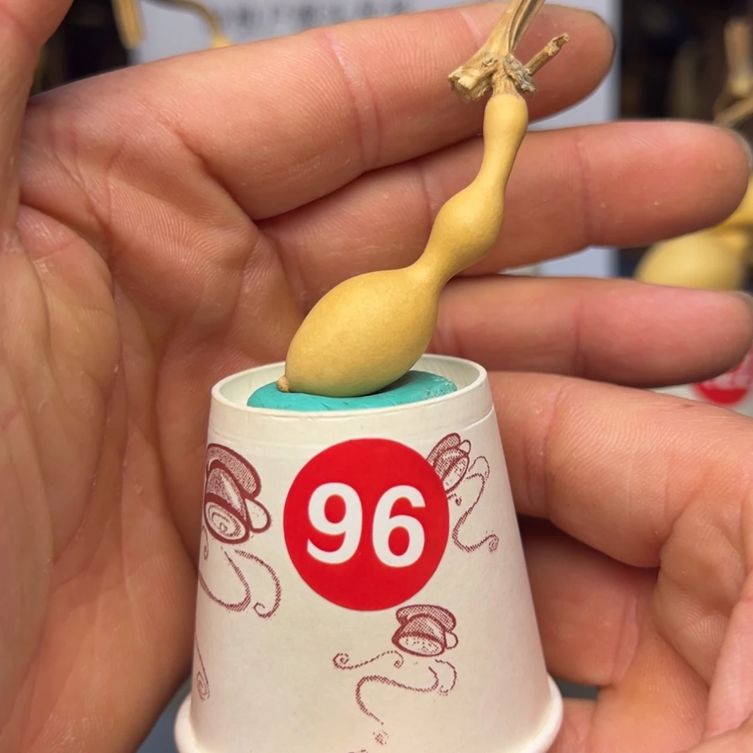 闪电购自助下单编号96