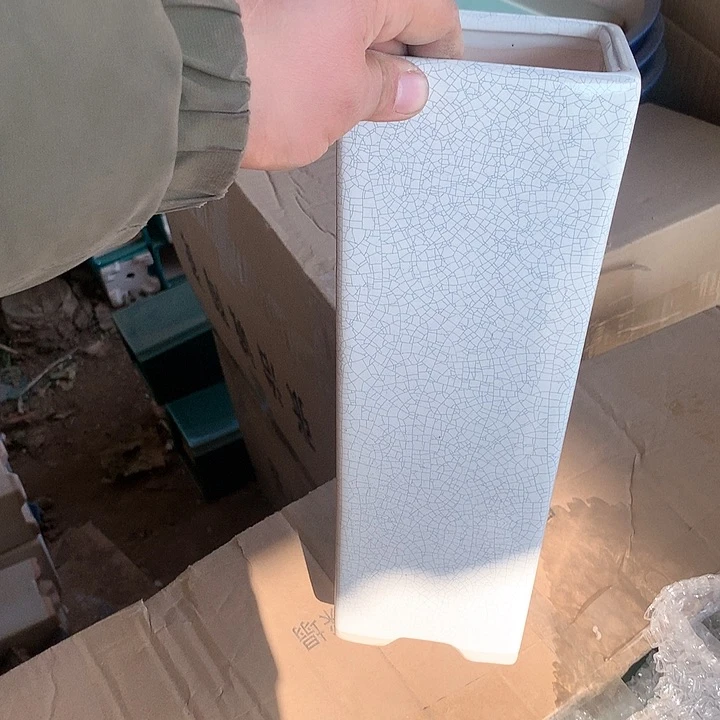 紫砂我要不明天要回家