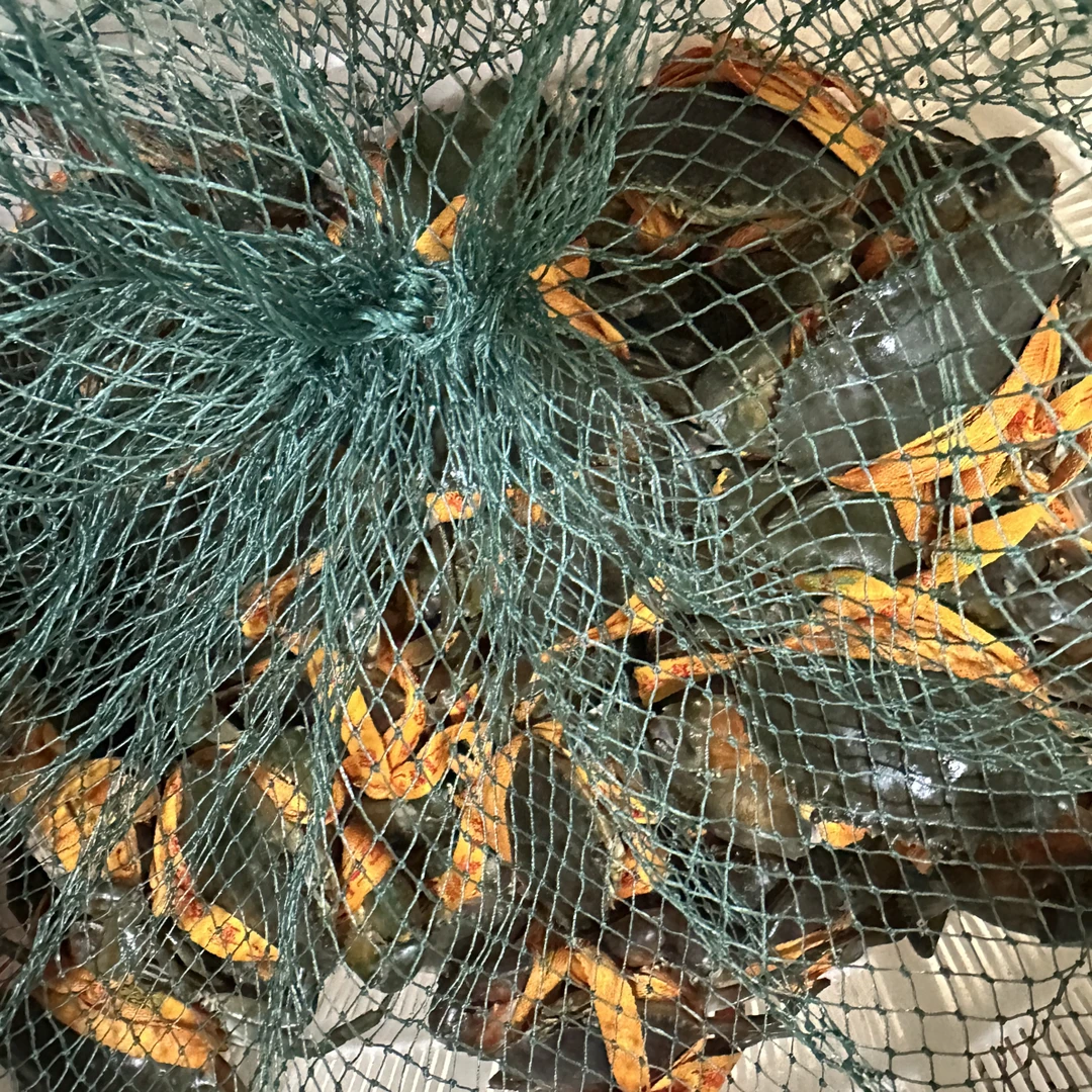 精品礼盒全母青蟹八只 5两～6两/只