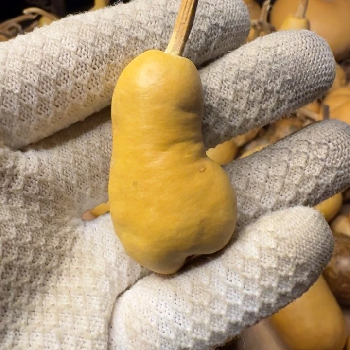 遇***。葫芦99999999999999