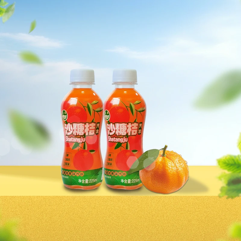 大非沙糖桔果味汽水225ml小瓶整箱碳酸饮料