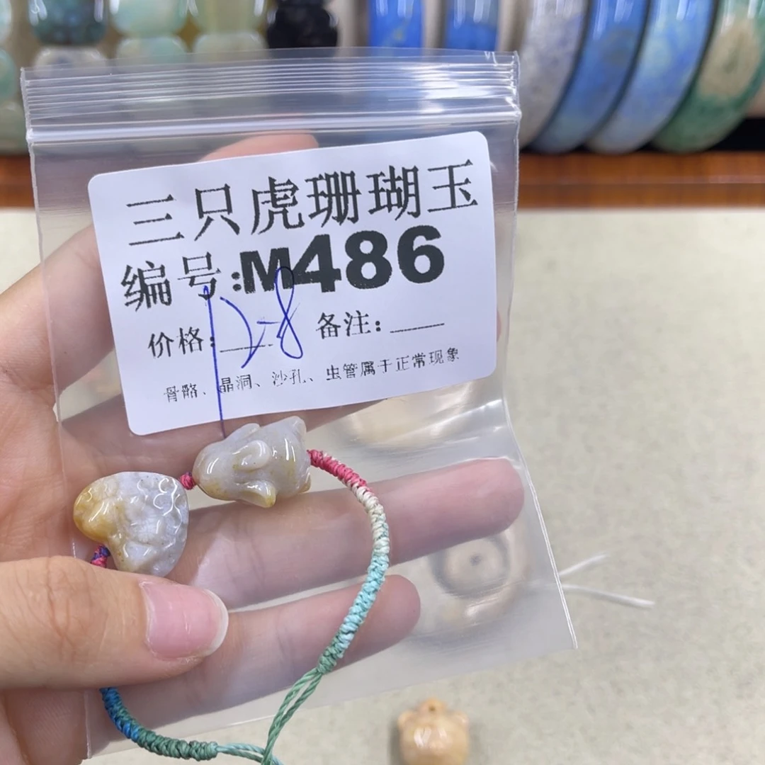 小****硅化珊瑚（珊瑚玉）h未镶嵌