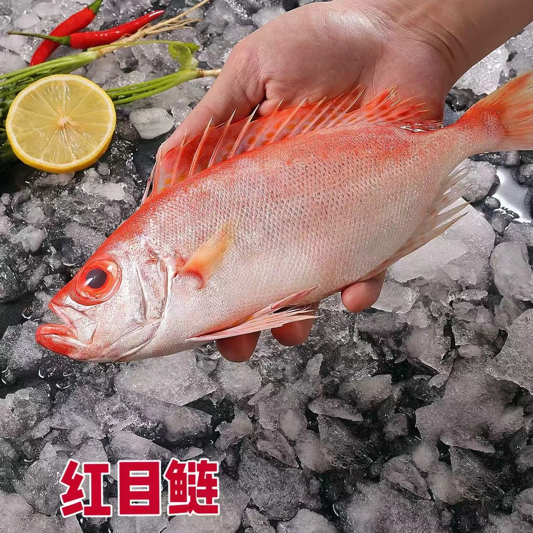 红目鲢 大眼鸡阳江海鲜本港深海大眼鱼海鲜宝宝辅食鱼（约5条/斤）原条