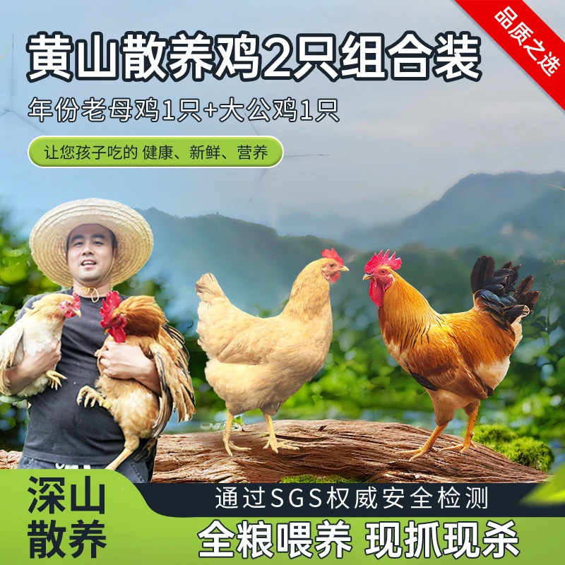 【中秋节礼】农小咖散养土鸡年份老母鸡+大公鸡组合原粮饲喂现杀