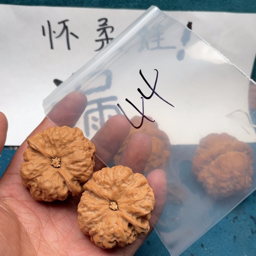 核桃753357573735537573357