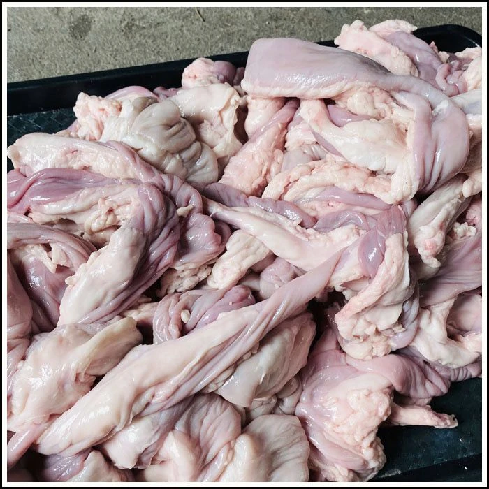 牛粉肠带油未翻过来纯生的新鲜牛肥肠清真韩式烤牛肠网红牛肠