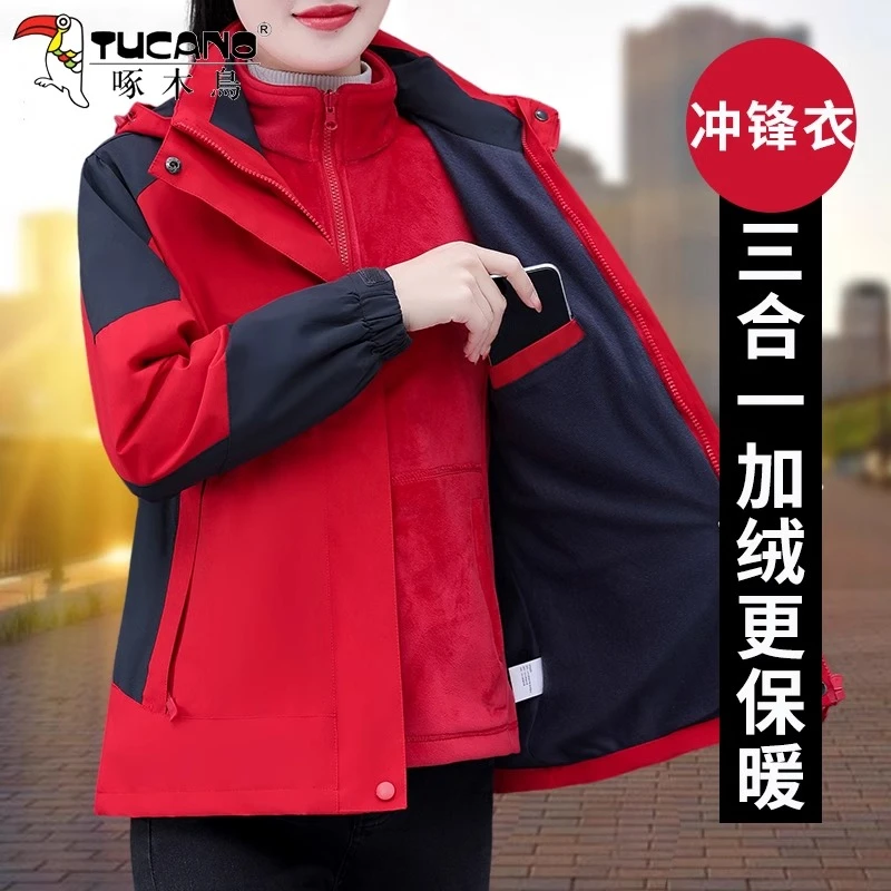啄木鸟冲锋衣女款三合一秋冬2025新款加绒加厚防风防水运动短外套
