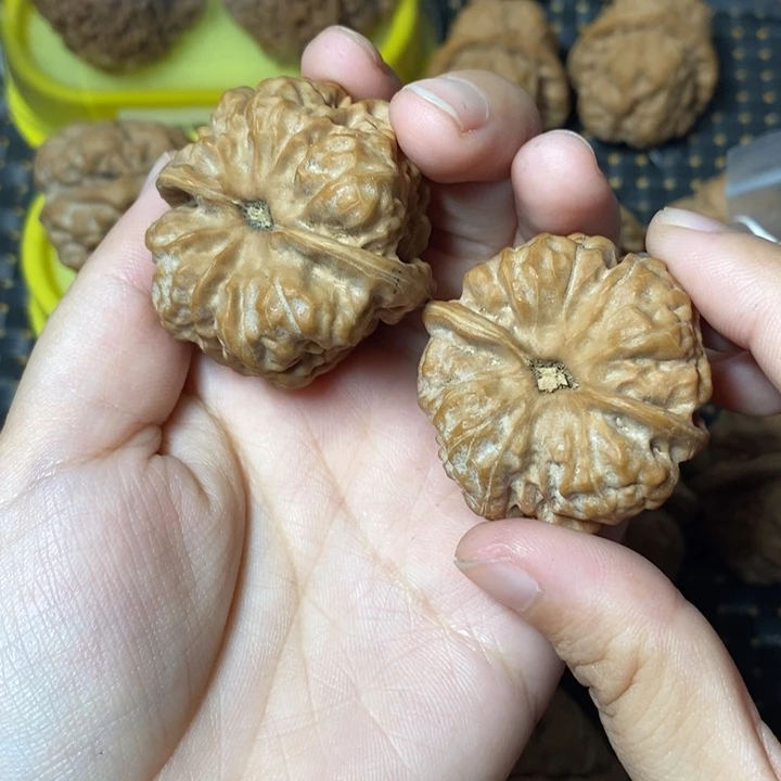 亚***贝把件文玩核桃蛤蟆头39