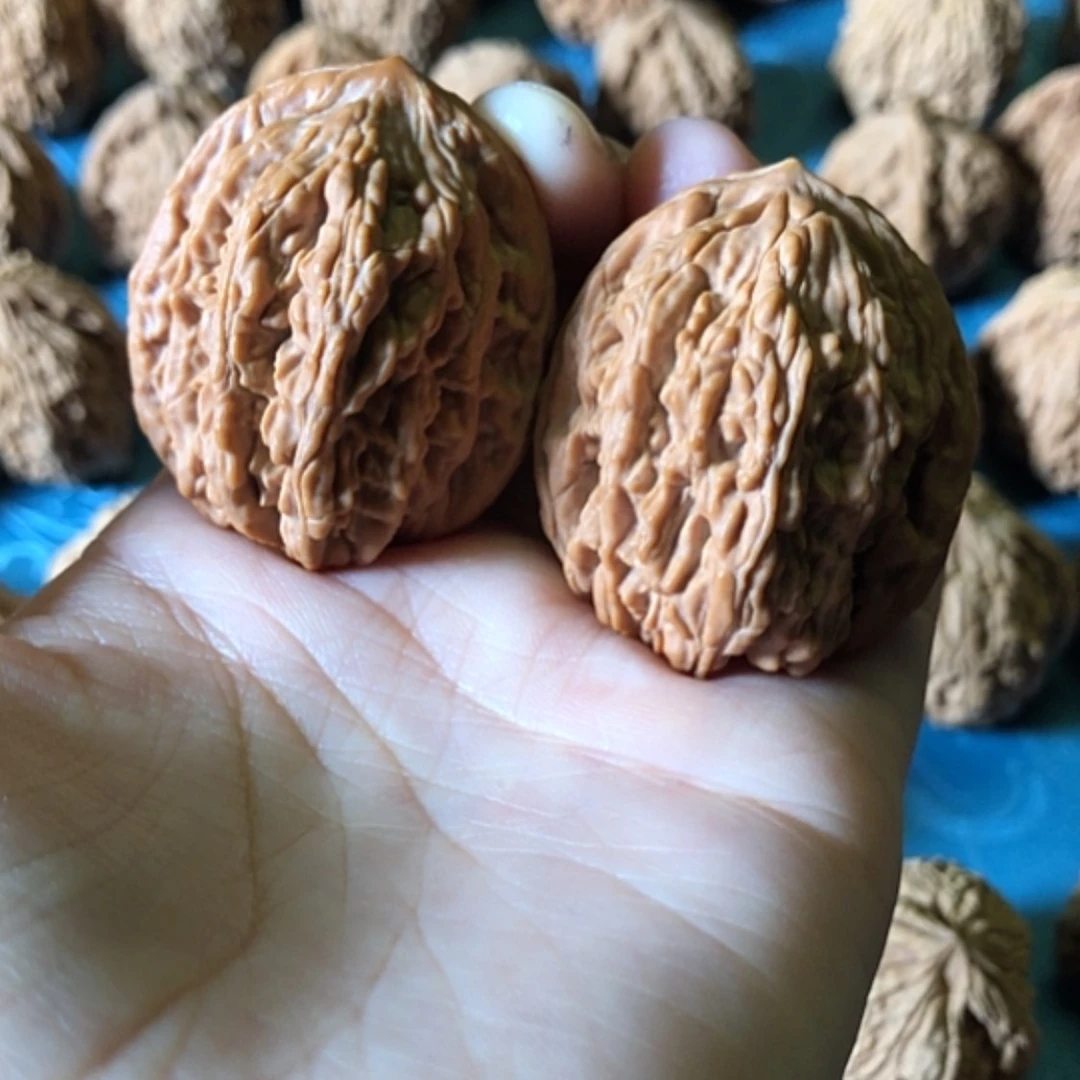 【闪购商品】文玩核桃把件豆*麦穗虎头