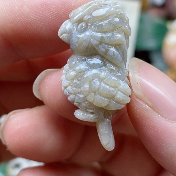 硅化珊瑚（珊瑚玉）未镶嵌颈饰小