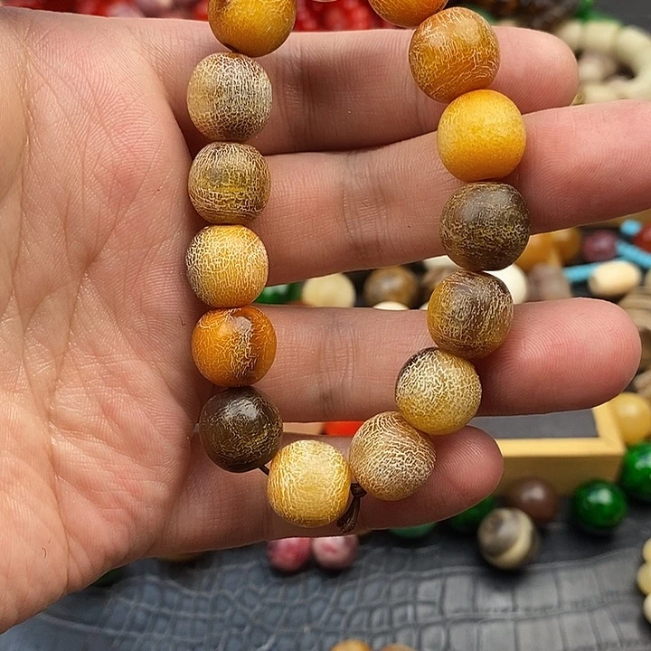 大果紫檀（缅甸花梨）