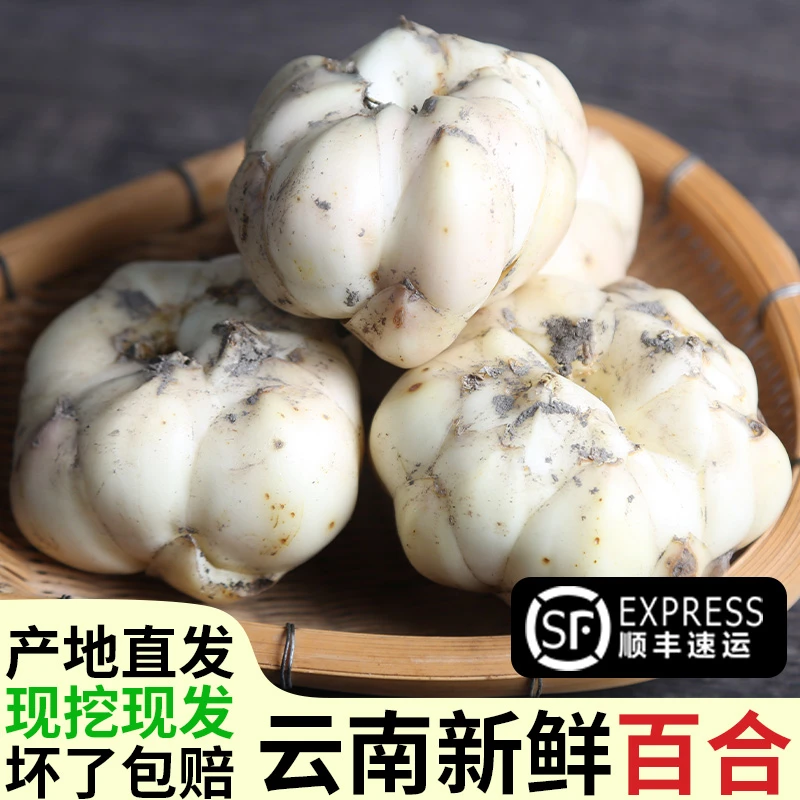 【发顺丰】新鲜食用百合云南腾冲现挖现发