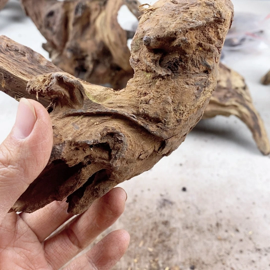 黄花梨/降香黄檀武****春