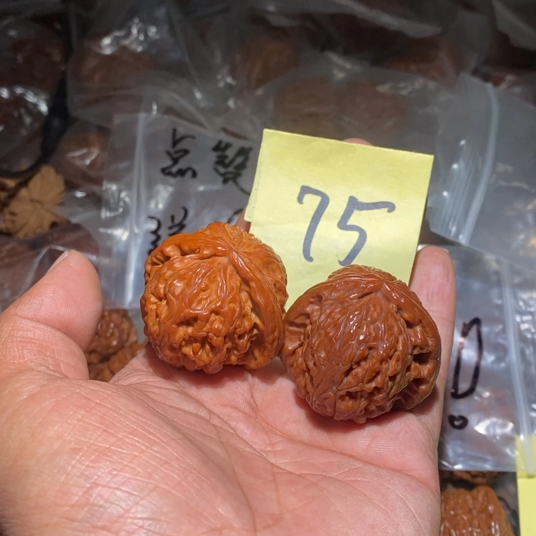 41白狮子。