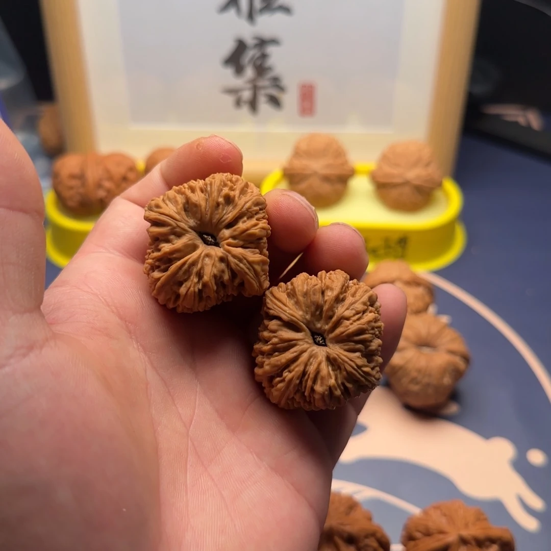 38全品涿鹿南疆石精对