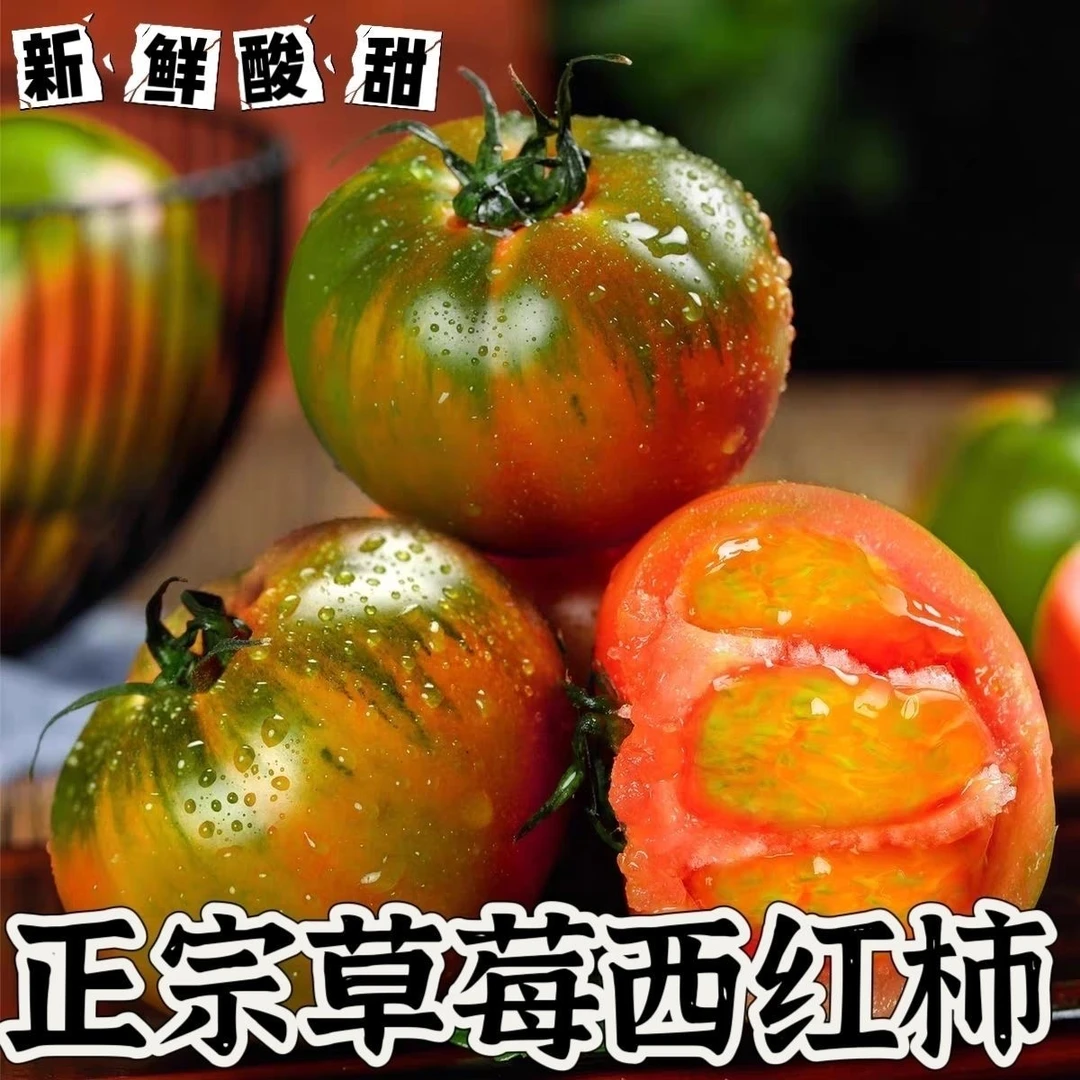 正宗山东自然成熟草莓西红柿孕妇宝宝酸甜自家种生吃现摘铁皮柿子