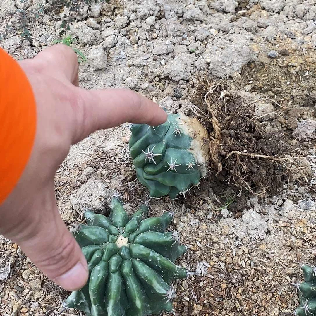 平**生000000000000000000