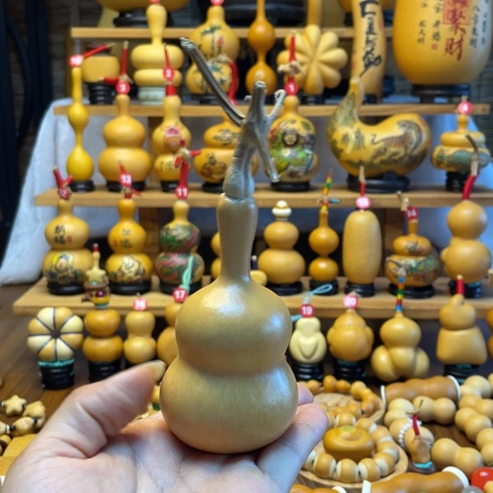 ✌️****天然葫芦自然生长