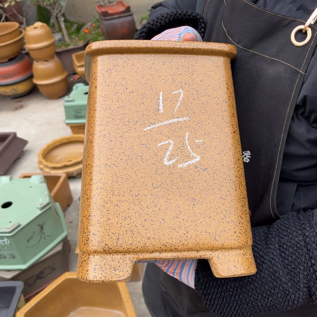 紫砂花盆盆景艺术