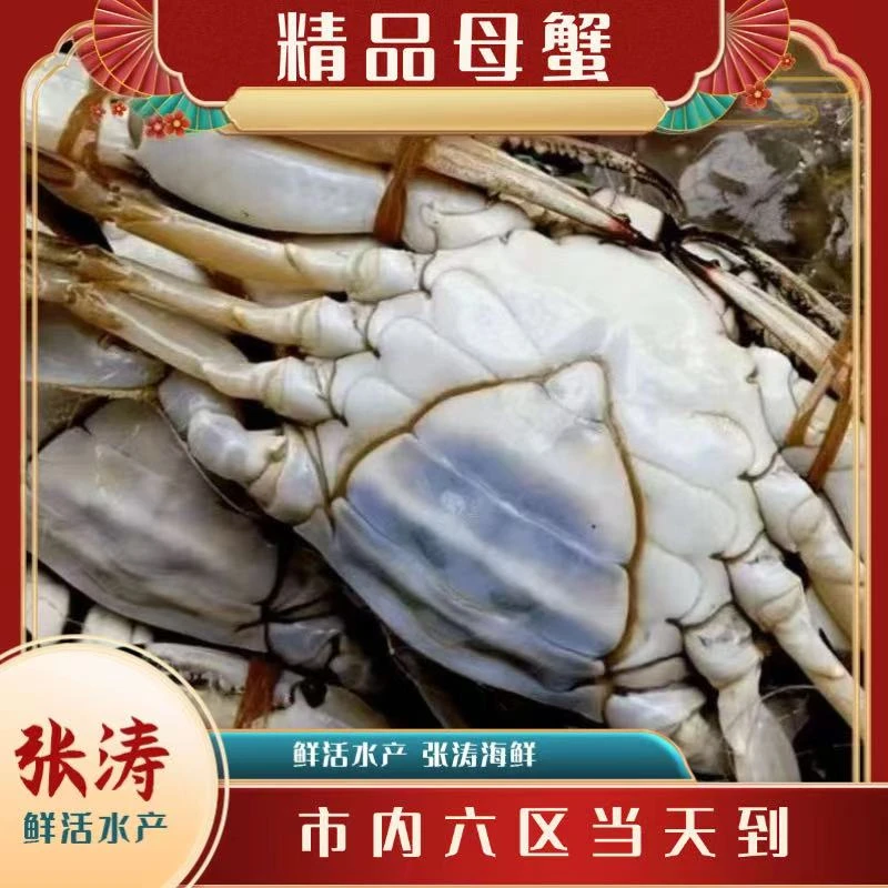 【保鲜不保活】精品母蟹（单只3-5两 每斤2-3只） 当日达