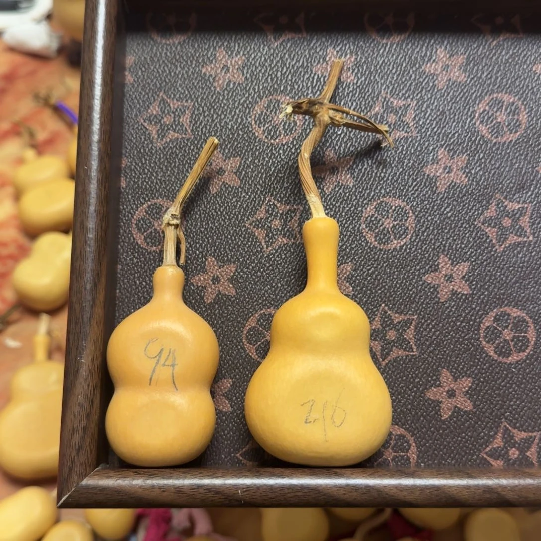 啊啊啊啊啊啊啊葫芦